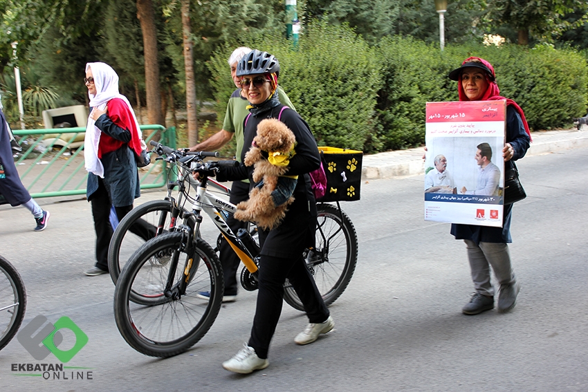 روز جهانی آلزایمر 4