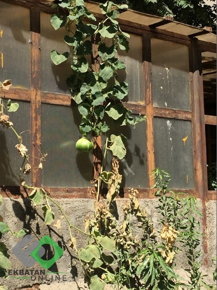 جداکننده‌های ترافیک و گلخانه ب1 - 4